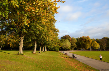 Queens Park Autumn This landscape photograph captures Queen's Park in the United Kingdom during the early morning in autumn. The image prominently features the park’s pathways that curve gently through expanses of green grass, bordered by rows of tall trees displaying foliage in various shades of green and gold, reflecting the seasonal change. Autumn leaves have begun to fall, adding color to the ground and illustrating the influence of nature in the park setting. The scene includes a person walking along one of the paths, providing scale and context to the size of Queen's Park. Mature trees dominate the view, filing the left side of the image and forming a natural canopy, typical of public parks in the United Kingdom. The sky above is partly cloudy with sunlight illuminating the landscape, enhancing the depiction of nature within Queen’s Park.